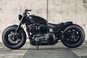 Custom Harley-Davidson