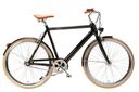 e-bike WATT