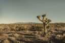 death valley fotoserie