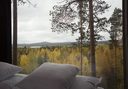 treehotel dragon