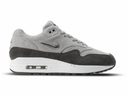 nike air max iconisch