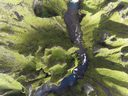 ijsland van boven