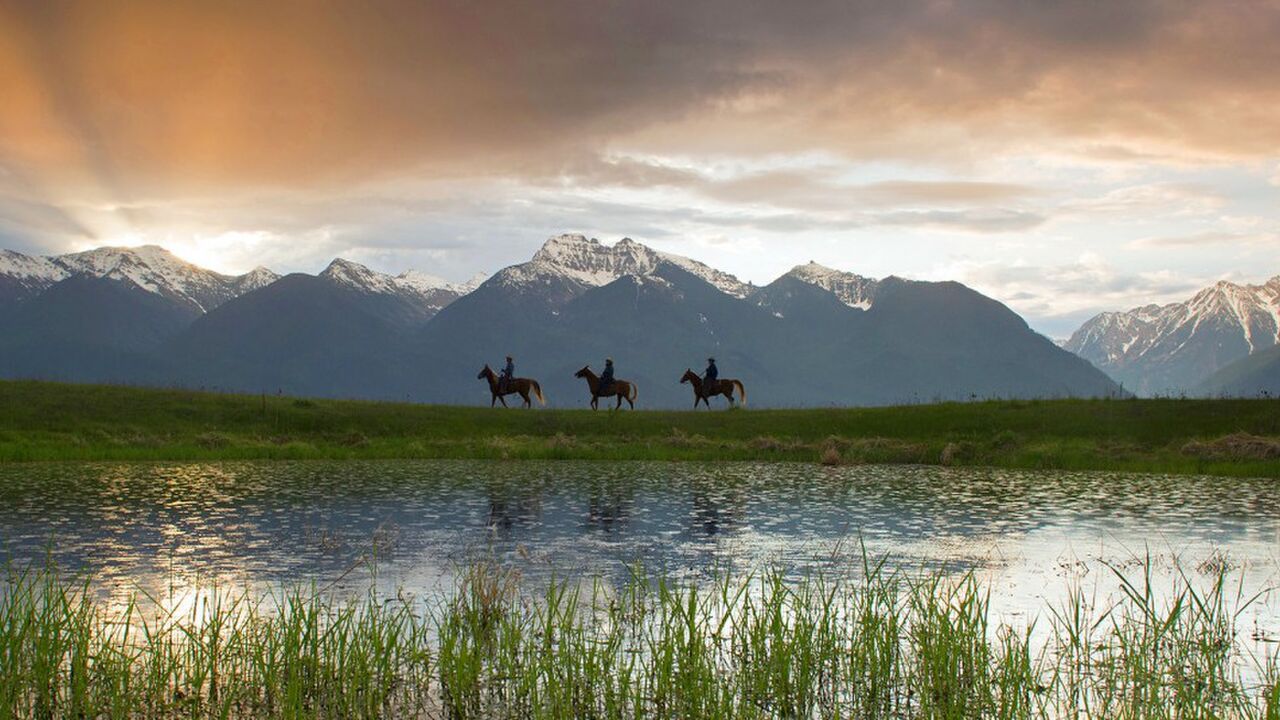 Illustratie voor: National Geographic’s favoriete foto’s