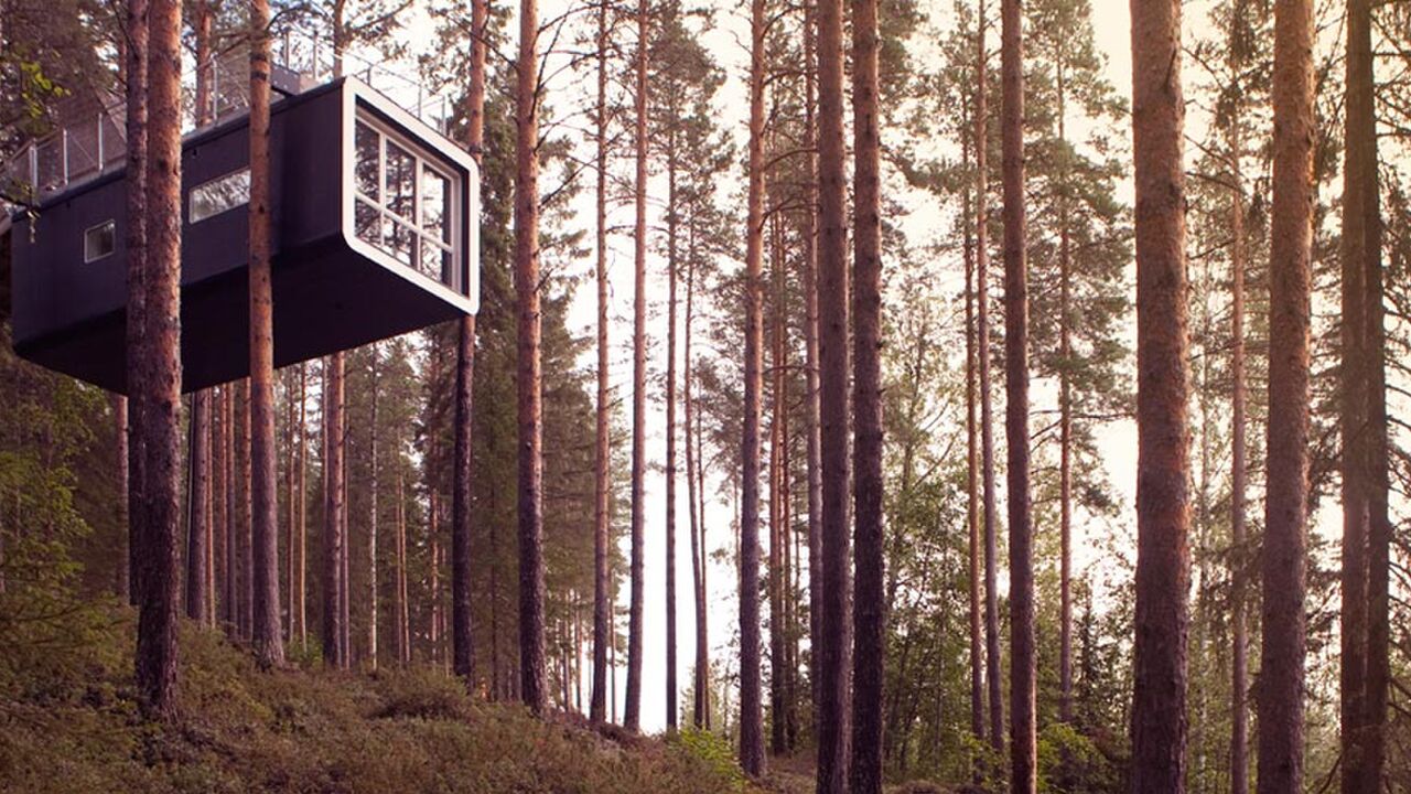 treehotel