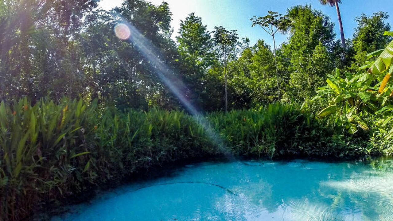 Illustratie voor: Dit natuurlijk zwembad is beter dan een infinty pool