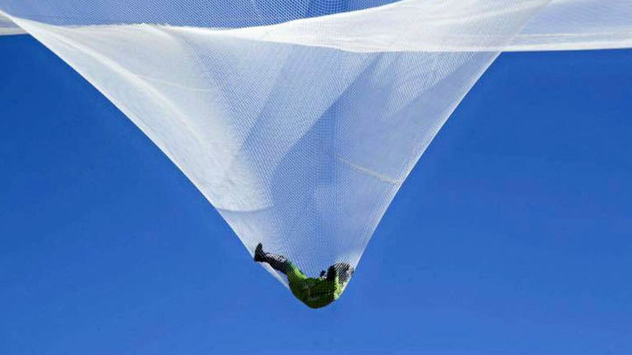 Illustratie voor: De eerste sprong uit een vliegtuig zonder parachute