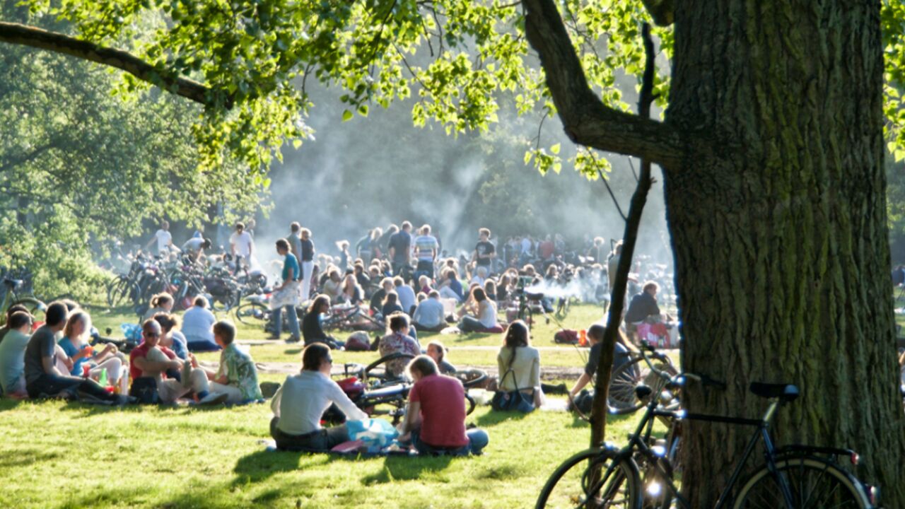 Illustratie voor: 4 items die je picknick avontuur beter maken
