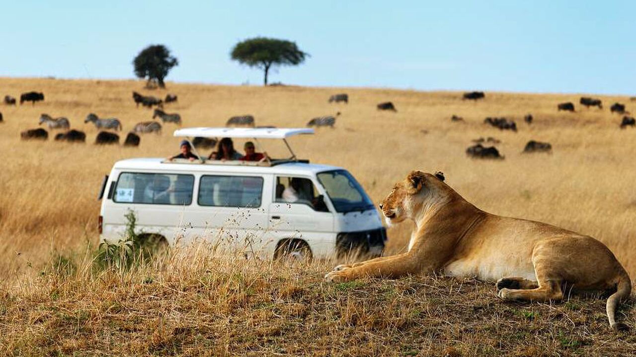 roadtrip-afrika-krugerpark-manman