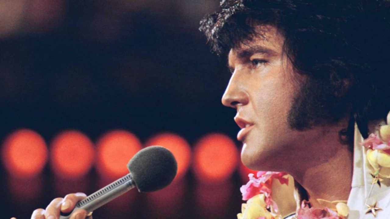 Illustratie voor: The Searcher: een ode aan The King of Rock and Roll