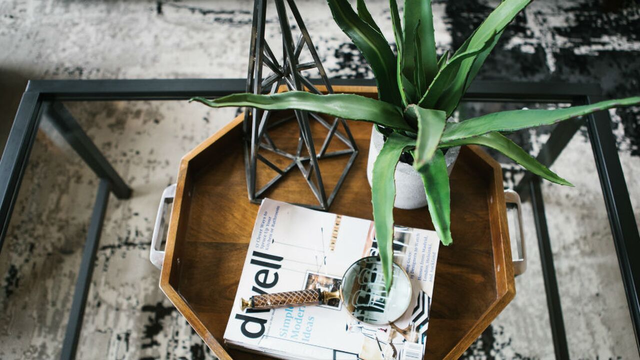Illustratie voor: Zo houd jij je planten in leven