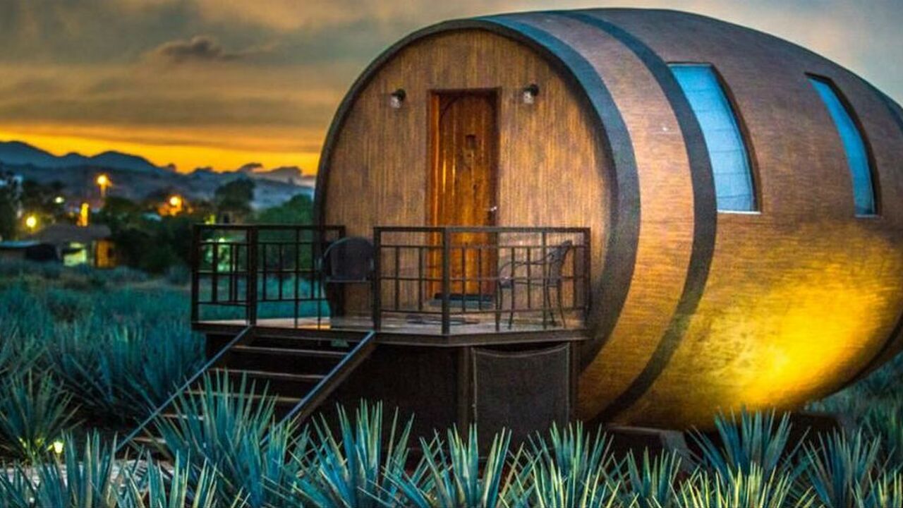 Tequila Hotel Mexico MAN MAN