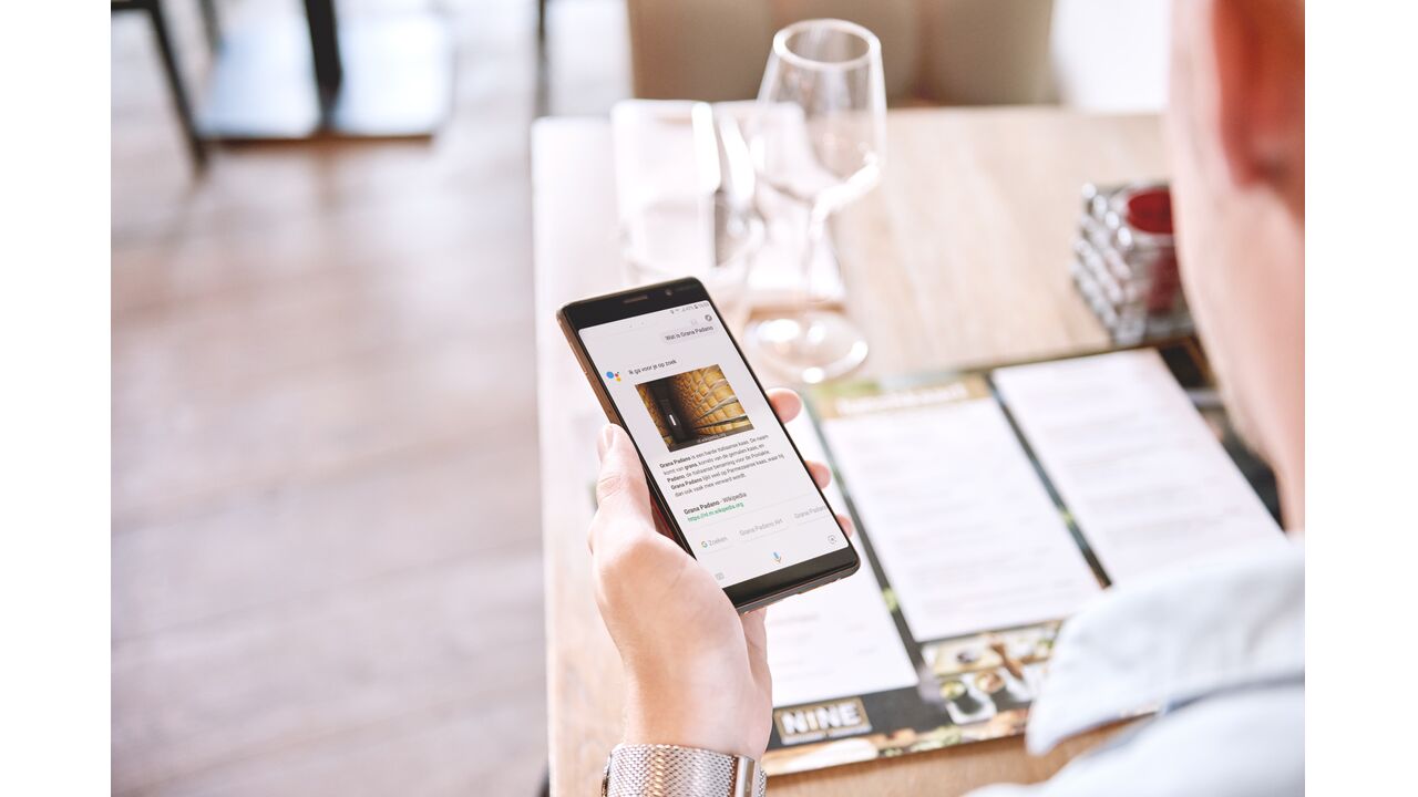 Google Assistant informatie software MAN MAN