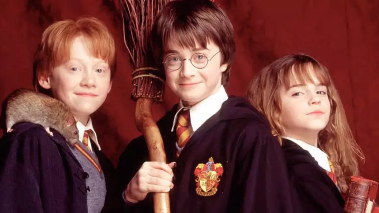 Harry Potter Netflix MAN MAN