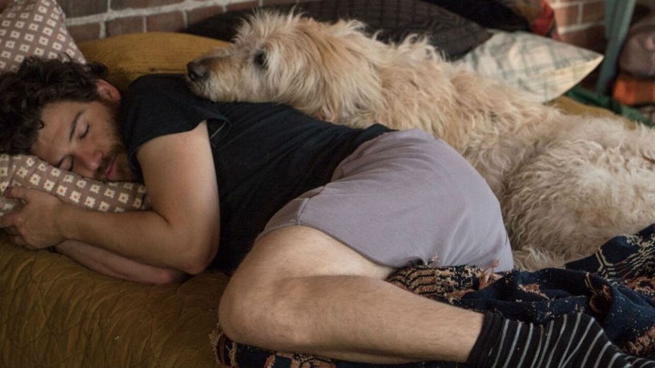 Goede nachtrust door hond MAN MAN