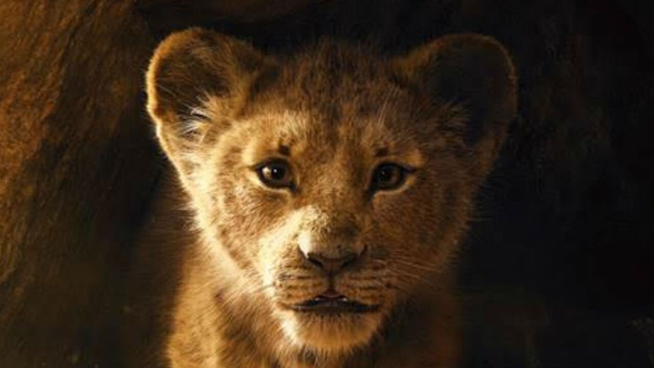 The Lion King MAN MAN