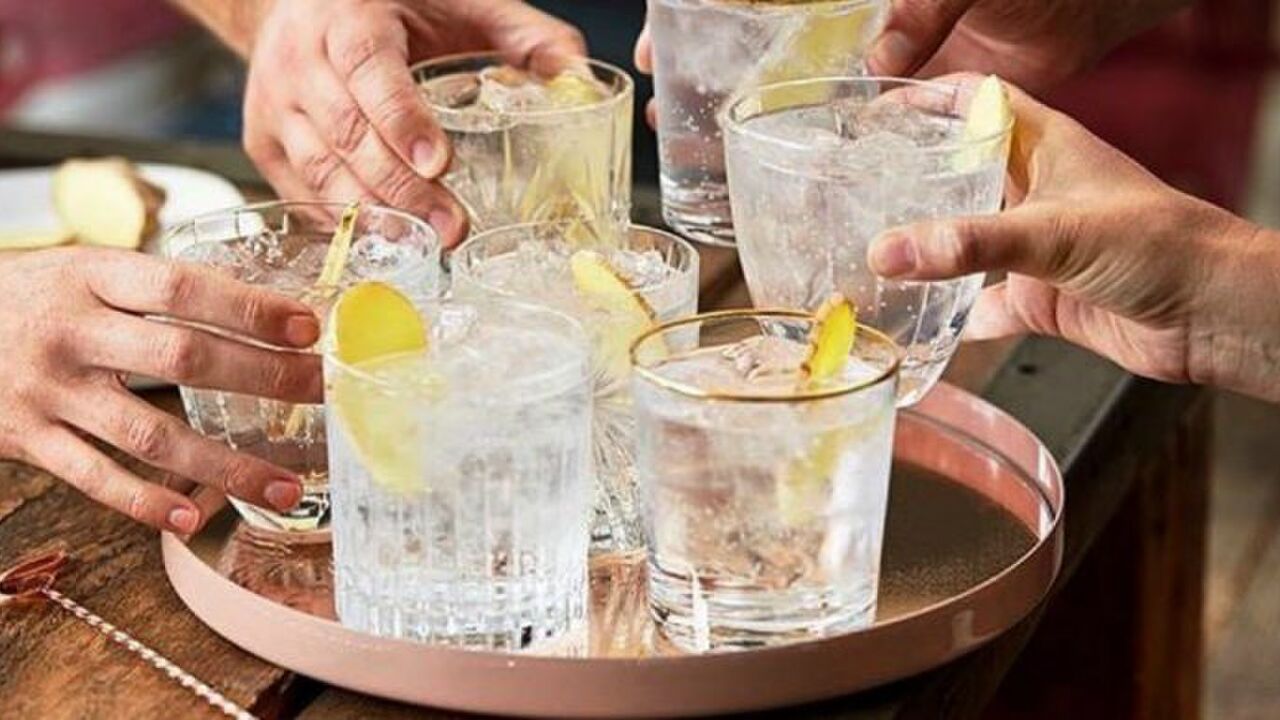 cocktails met gin
