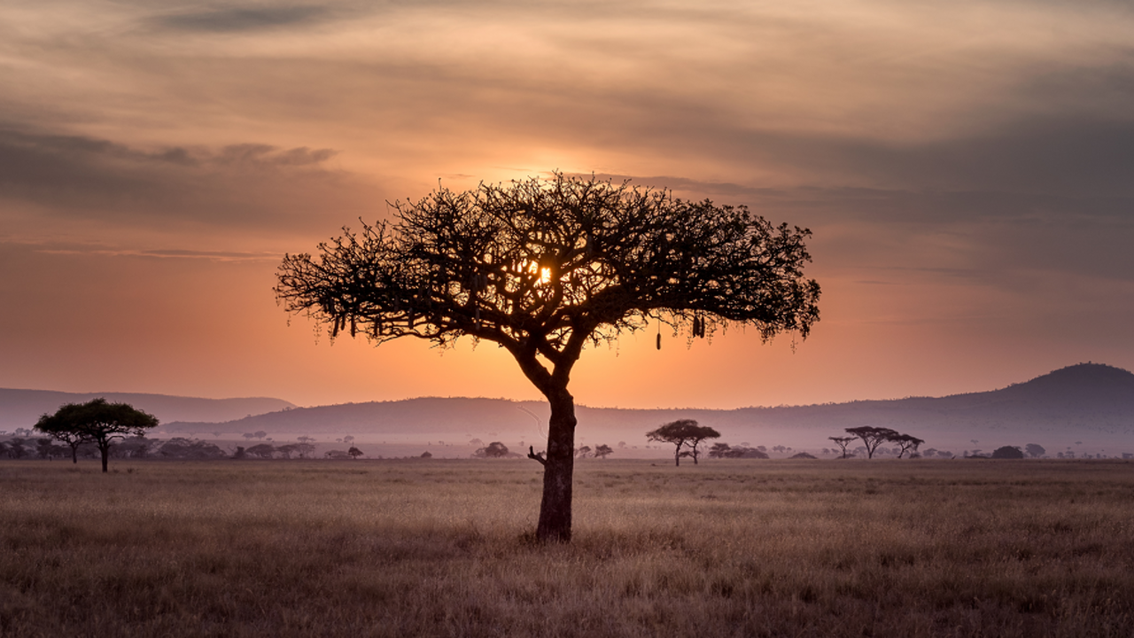 Zuid-Afrika
