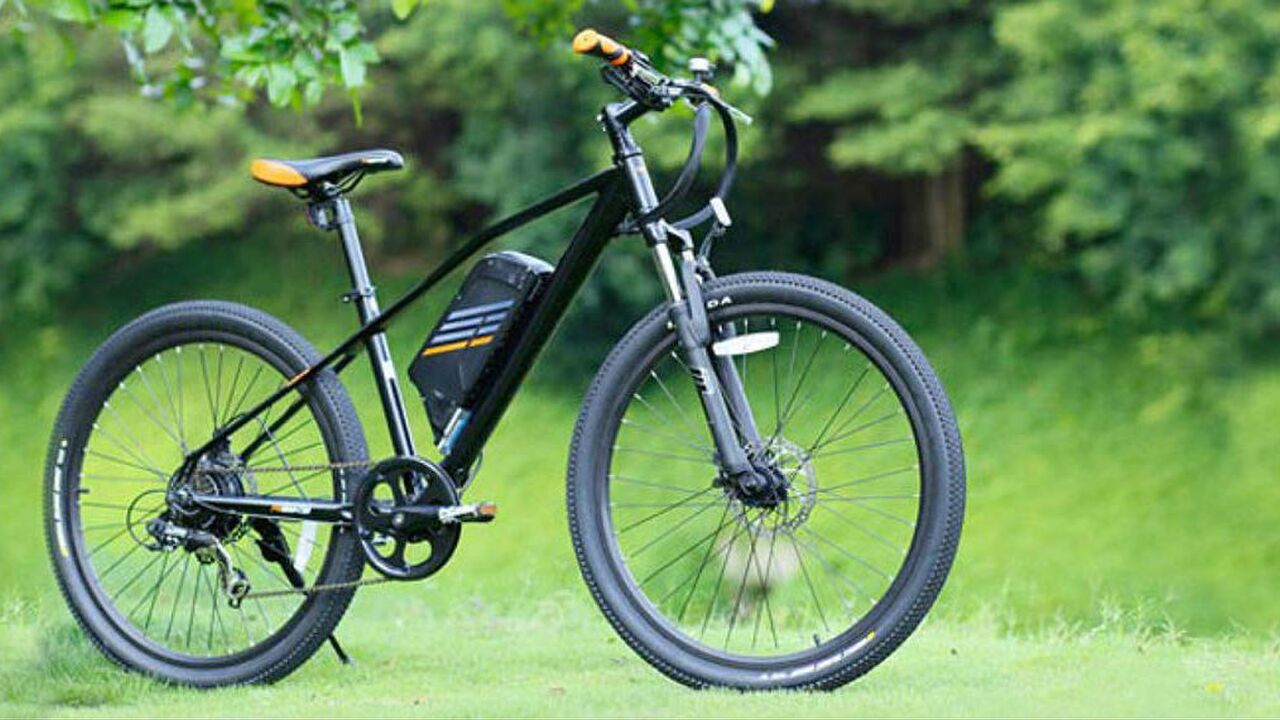 e-bike mountainbike elektrisch