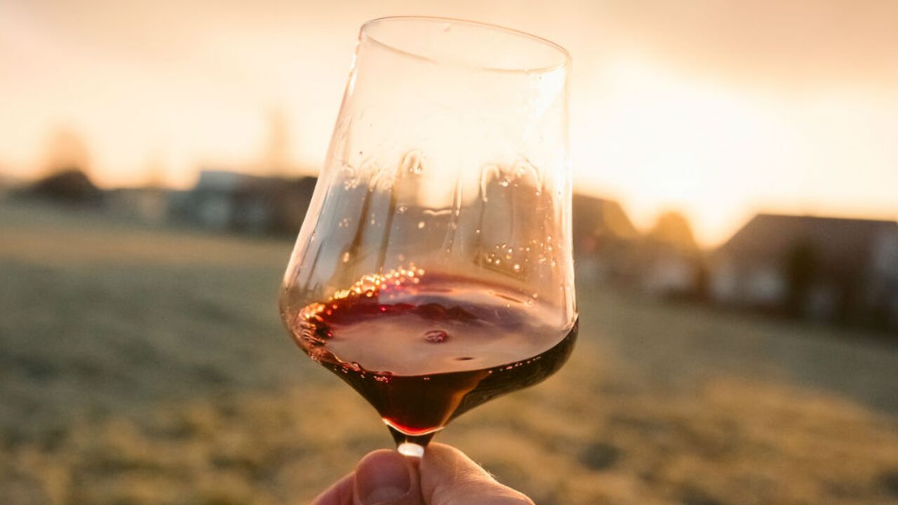 lekkere alcoholvrije wijnen
