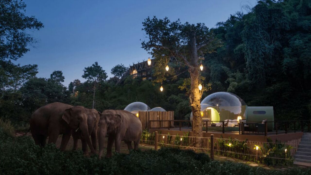 slapen tussen de olifanten luxe vakantie