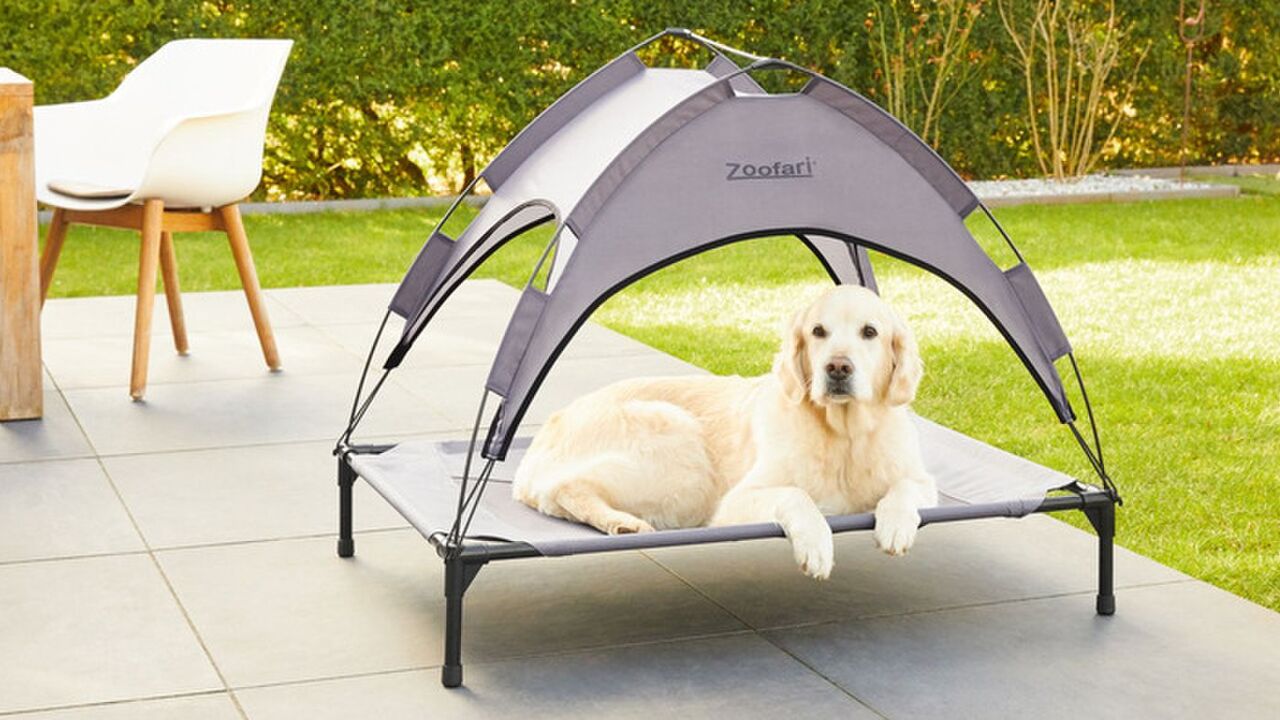 hondenbed lidl te koop