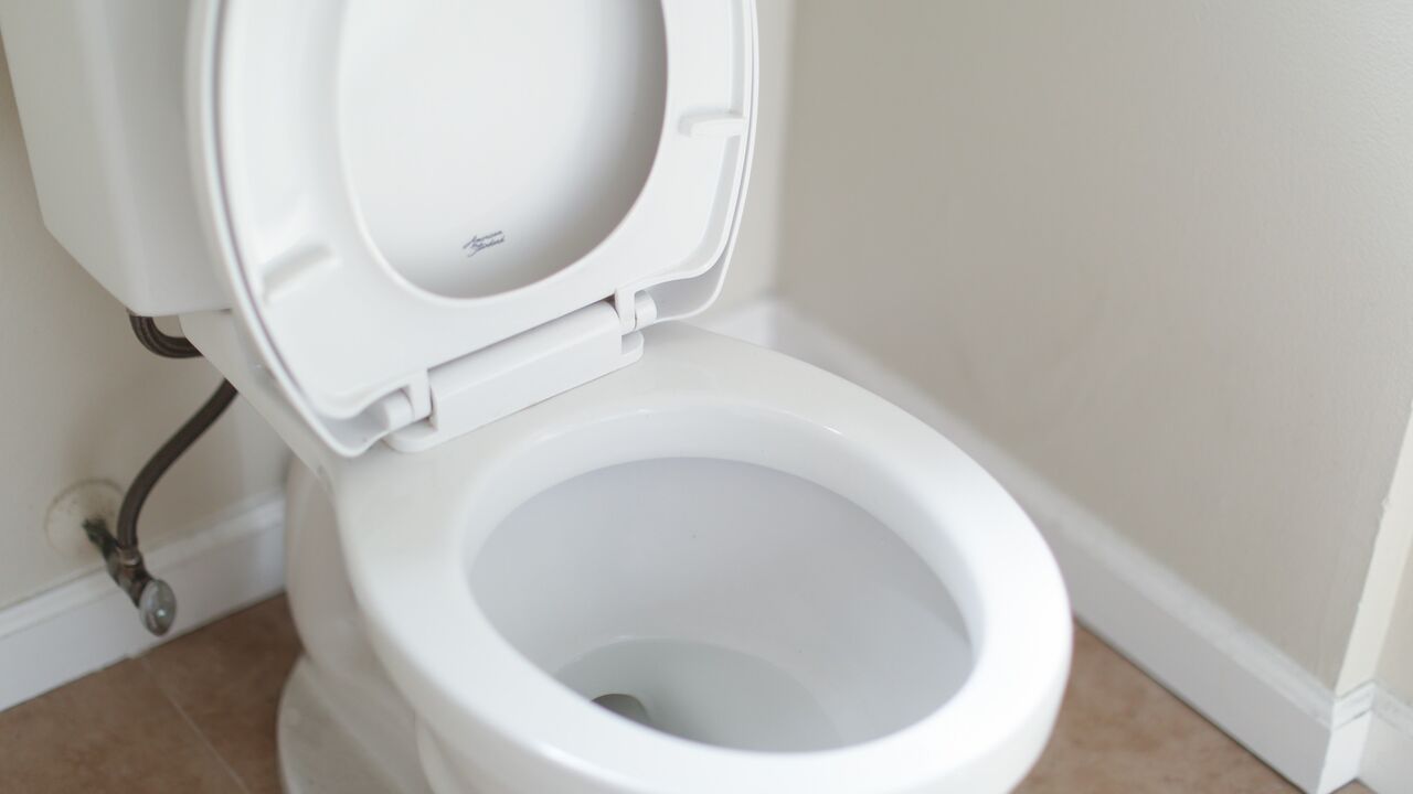 bidet bedrijf poepen geld verdienen