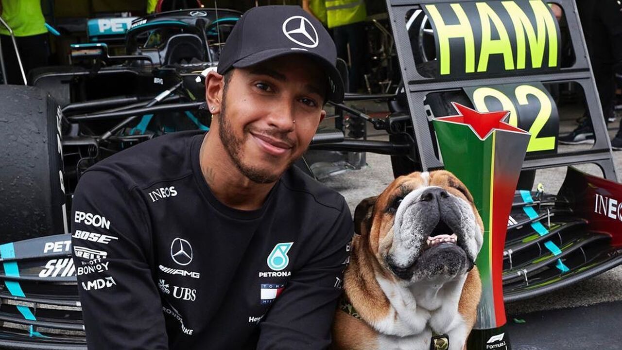 Formule 1 coureur valt uit