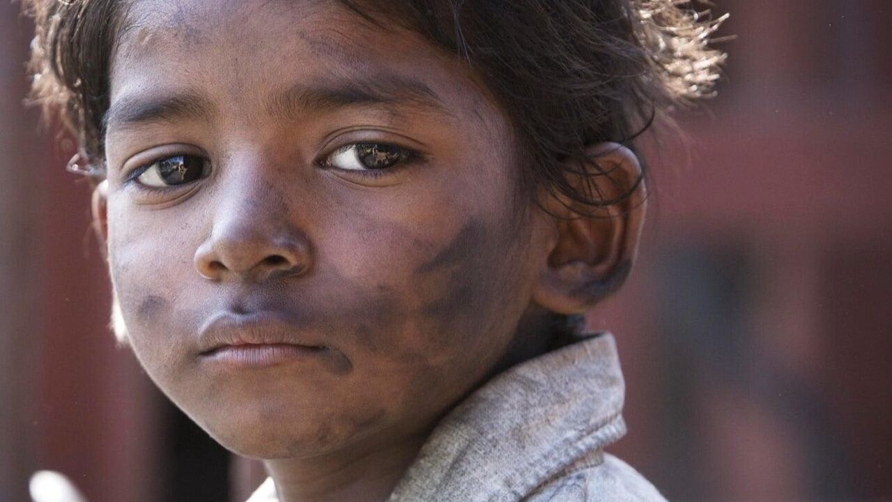 lion film waargebeurd aanrader