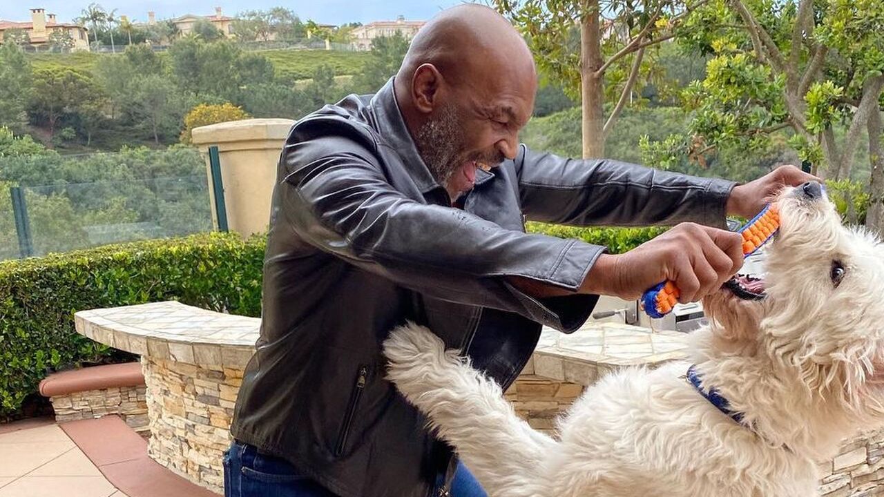 Mike Tyson vermogen