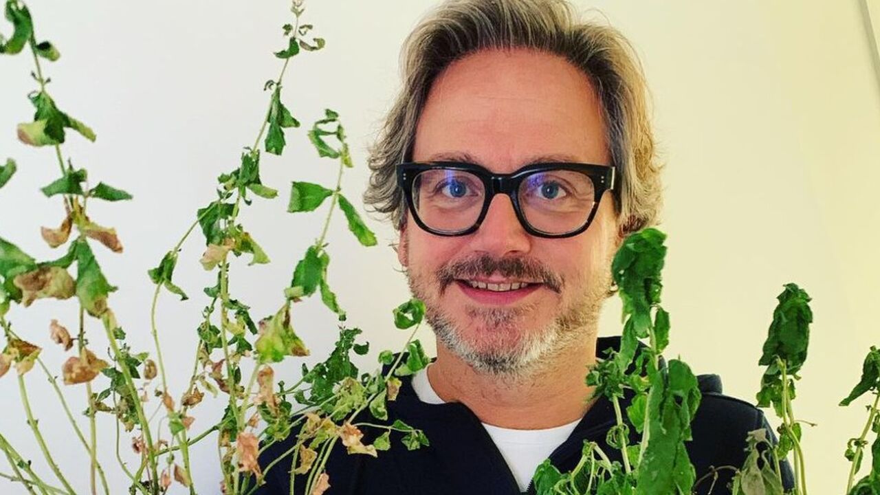 guus meeuwis