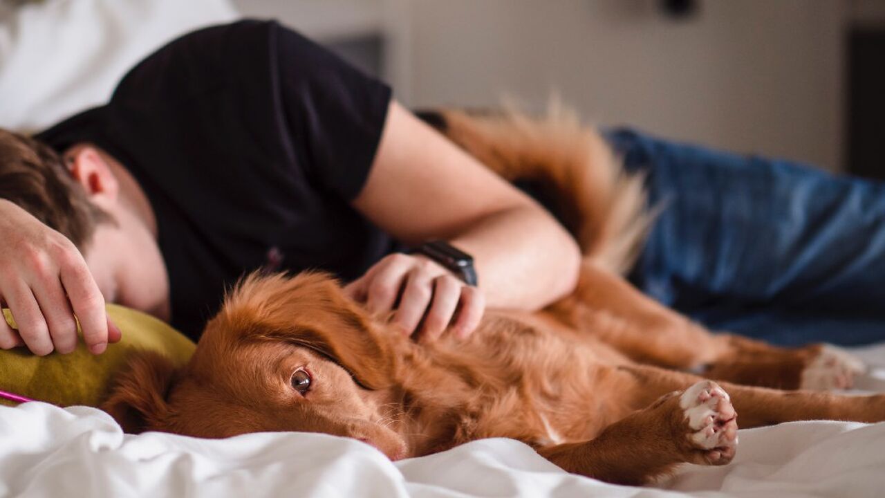 hoelang duurt een goede powernap