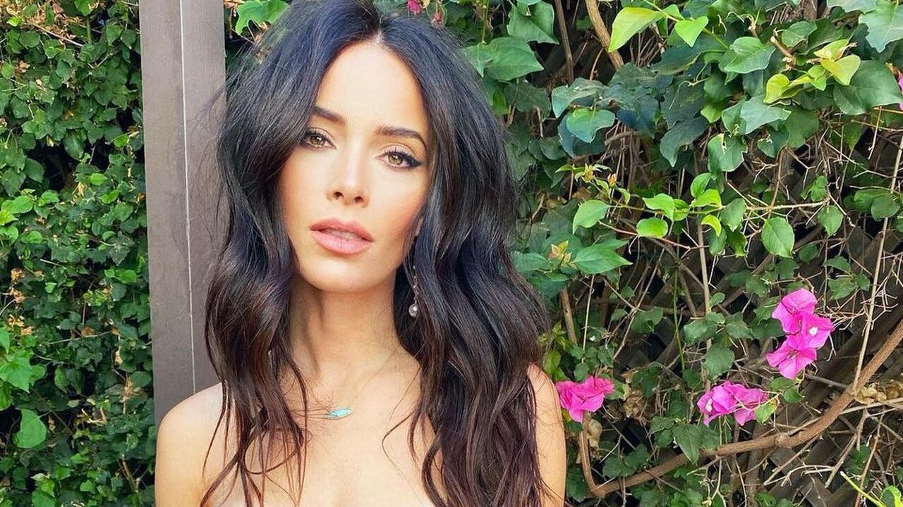 Suits actrice abigail spencer