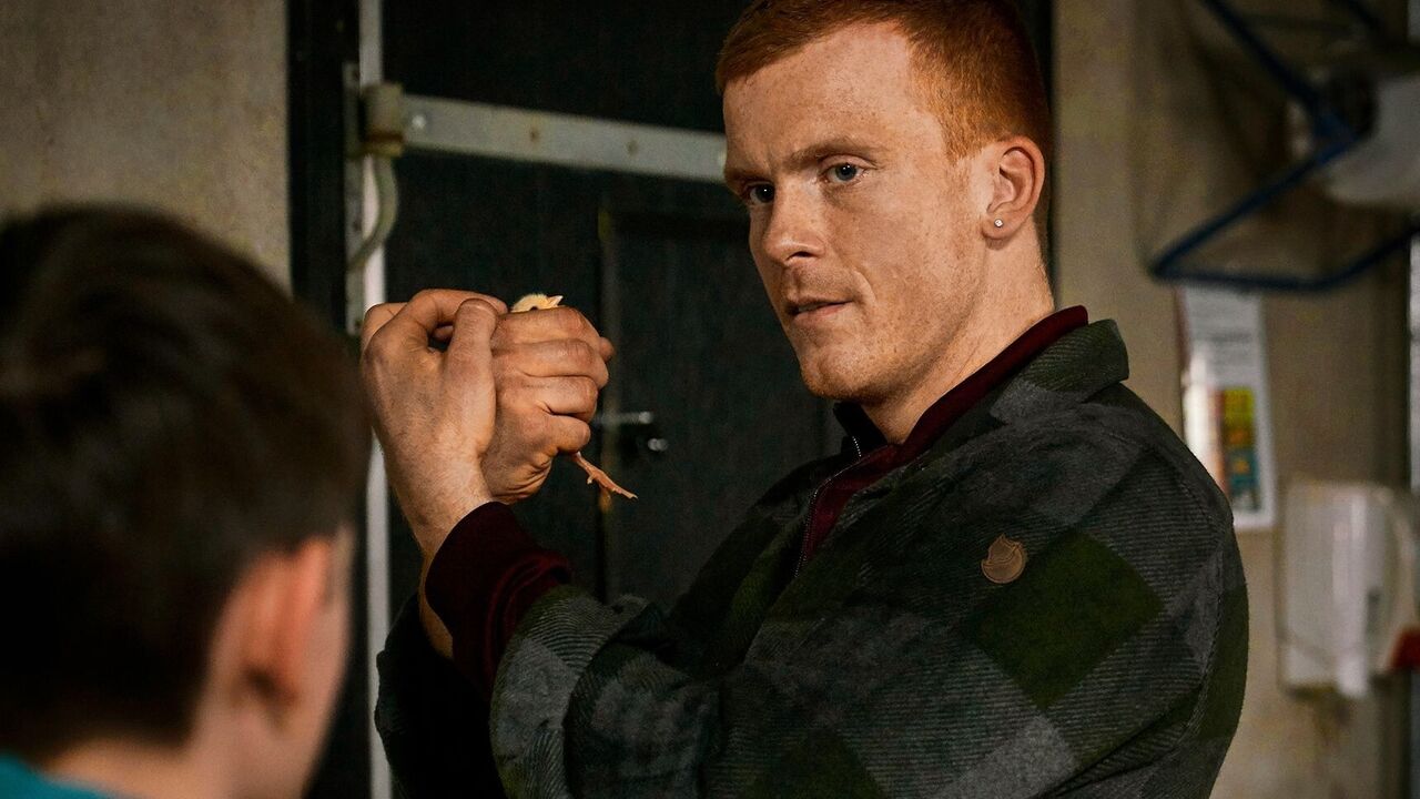 scandinavische serie deliver us