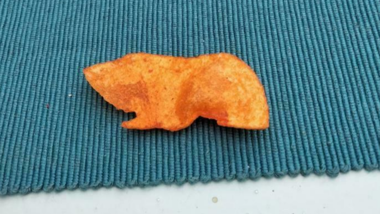 cavia chips Marktplaats verkocht