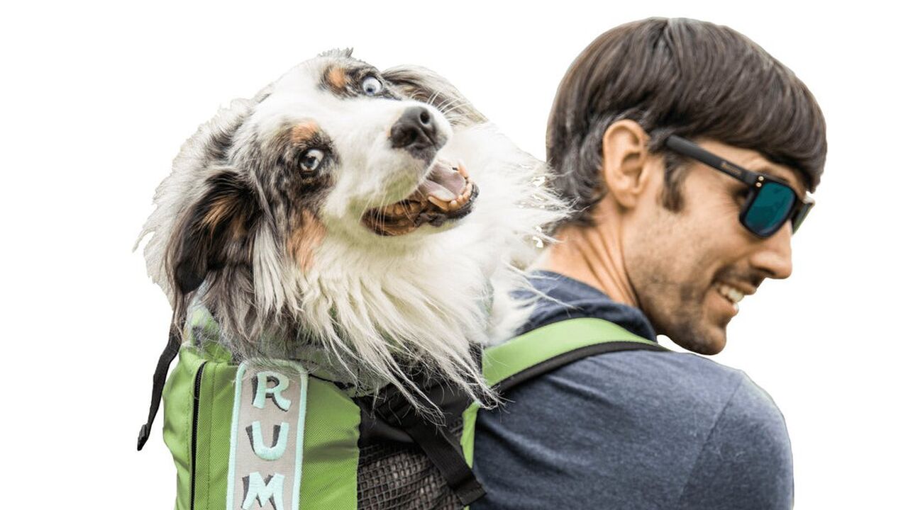 rugzak voor je hond