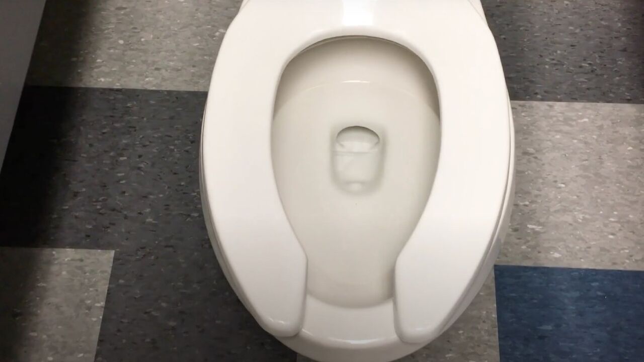 De reden dat sommige wc's een toiletbril met U-vorm hebben