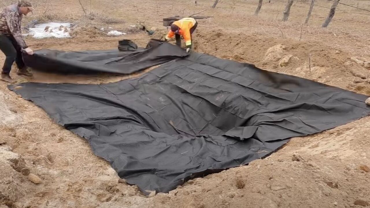 bouwt vijver natuur bloei