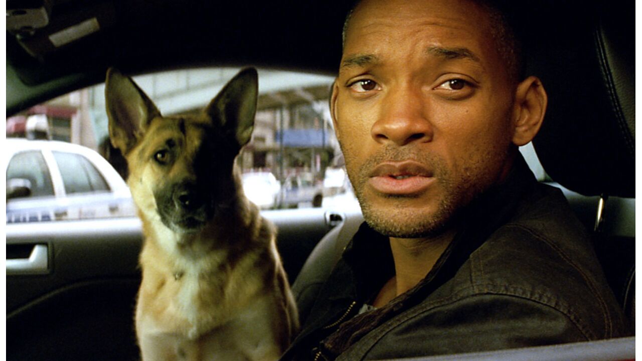 Deel 2 I Am Legend