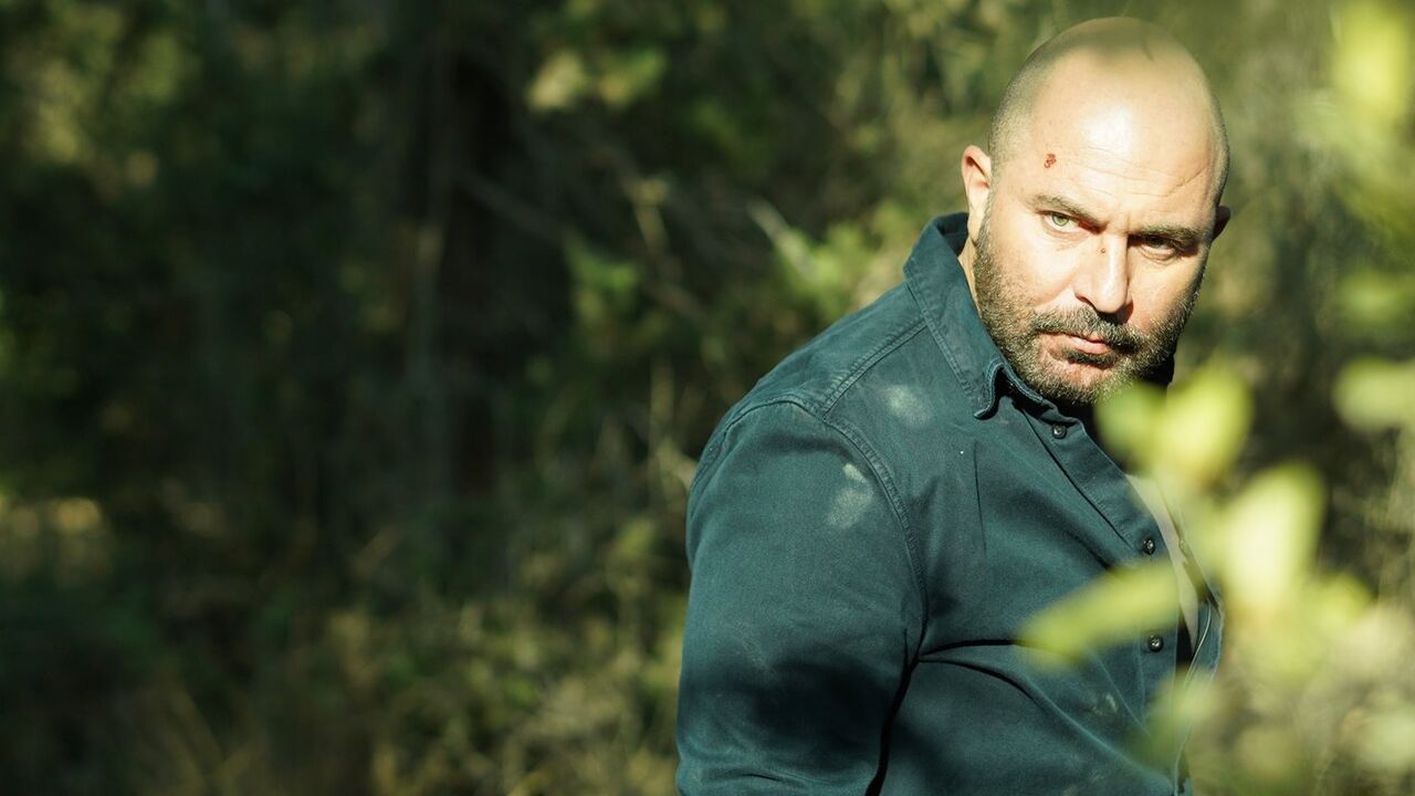 fauda imdb netflix