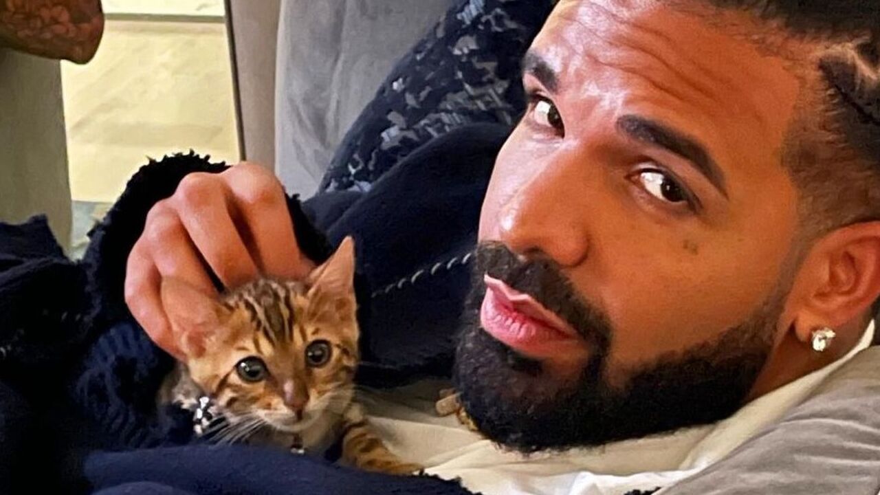 Illustratie voor: Drake zet zijn supersterren villa te koop voor €120 miljoen
