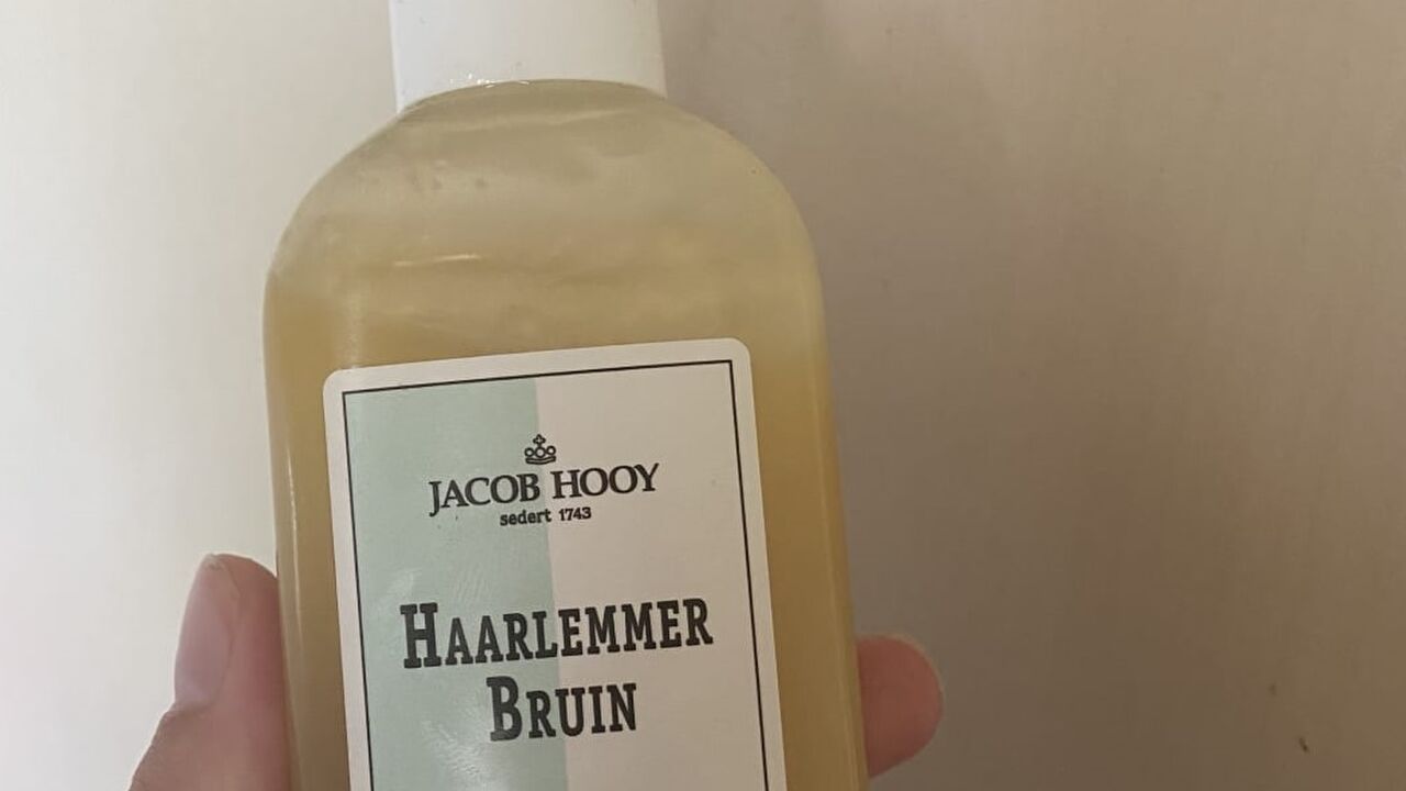 haarlemmer bruin te koop bol.com snel bruin worden