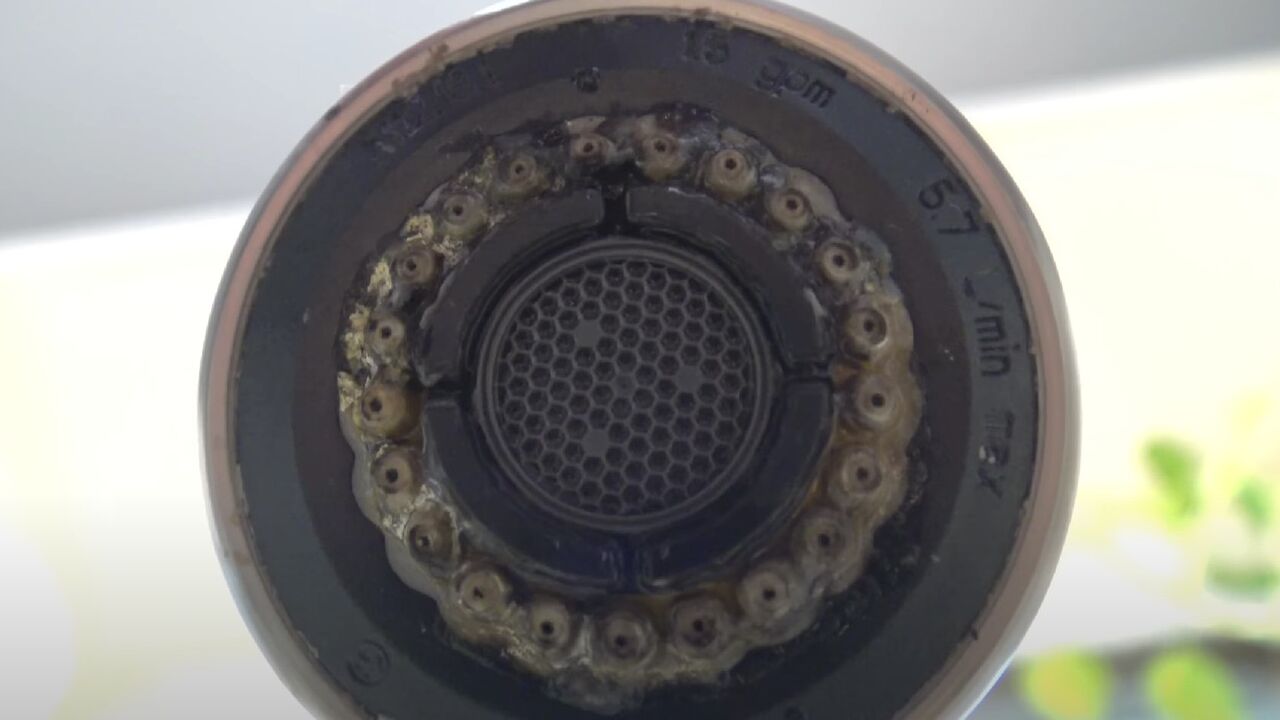 hoe douchekop ontkalken lifehack