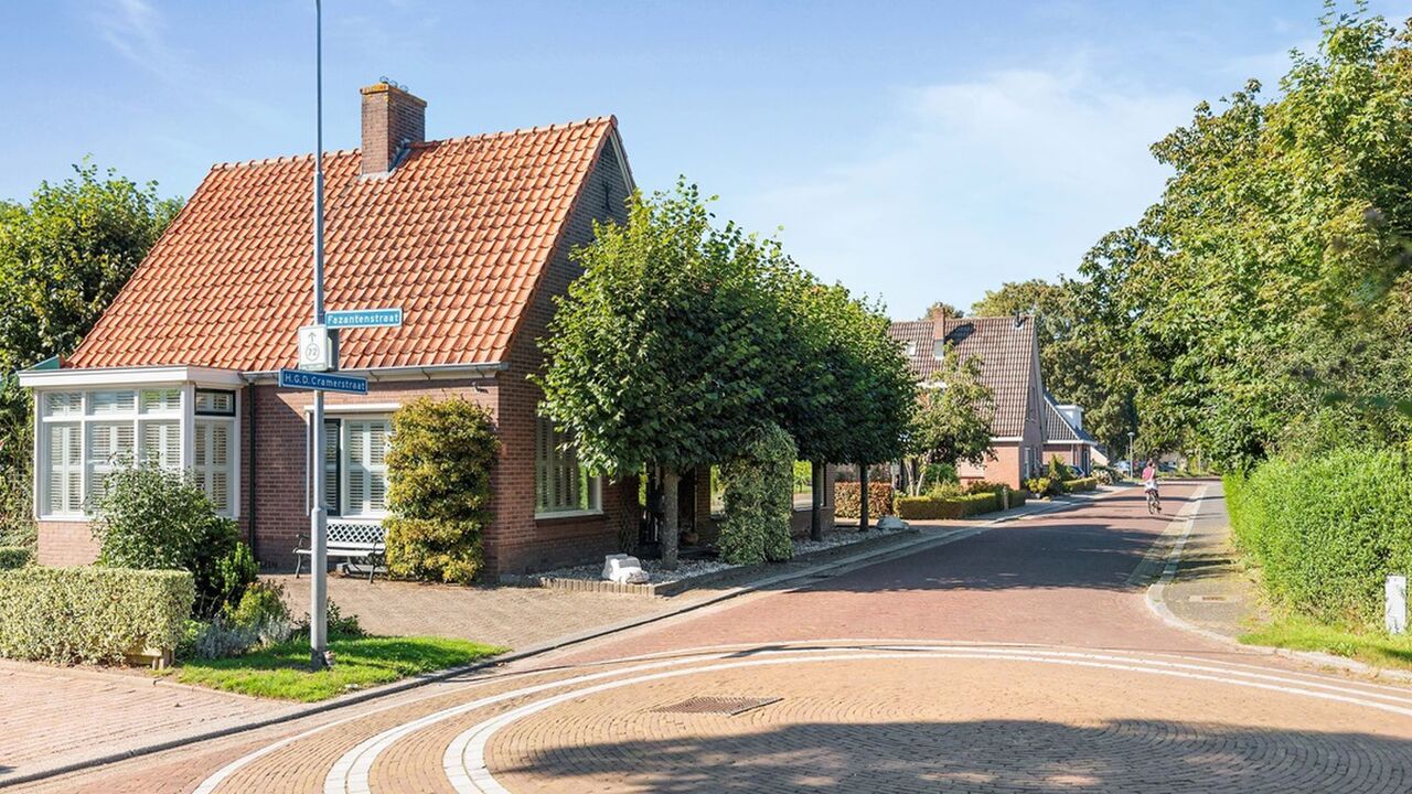 huis wapenveld te koop