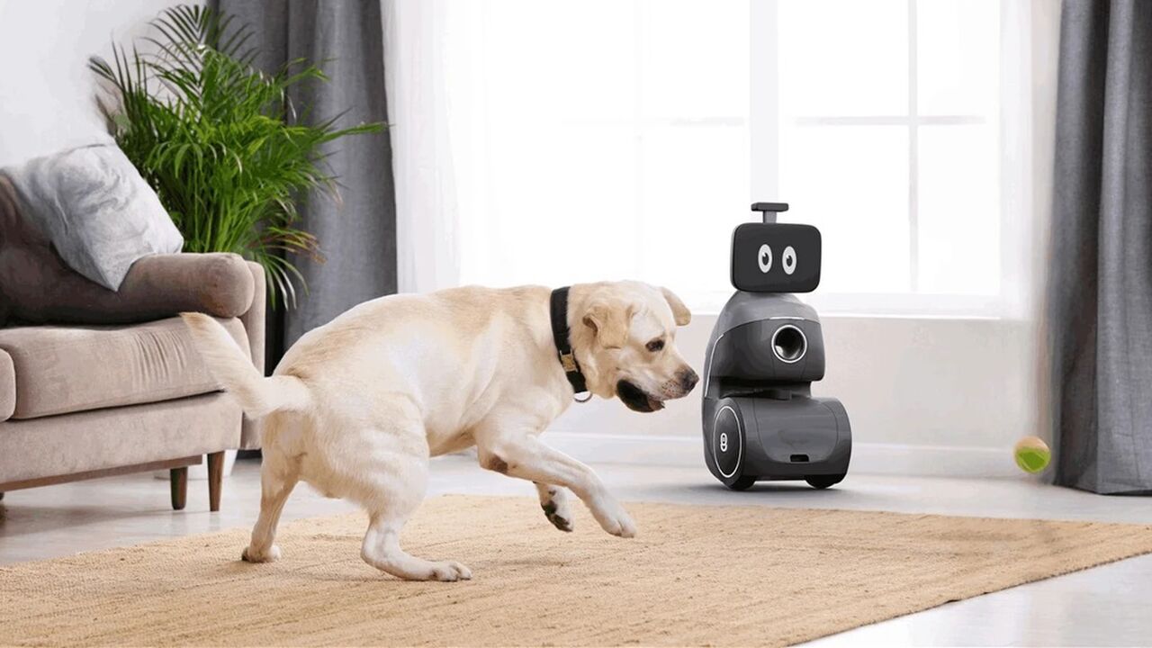 ORo gadget hond