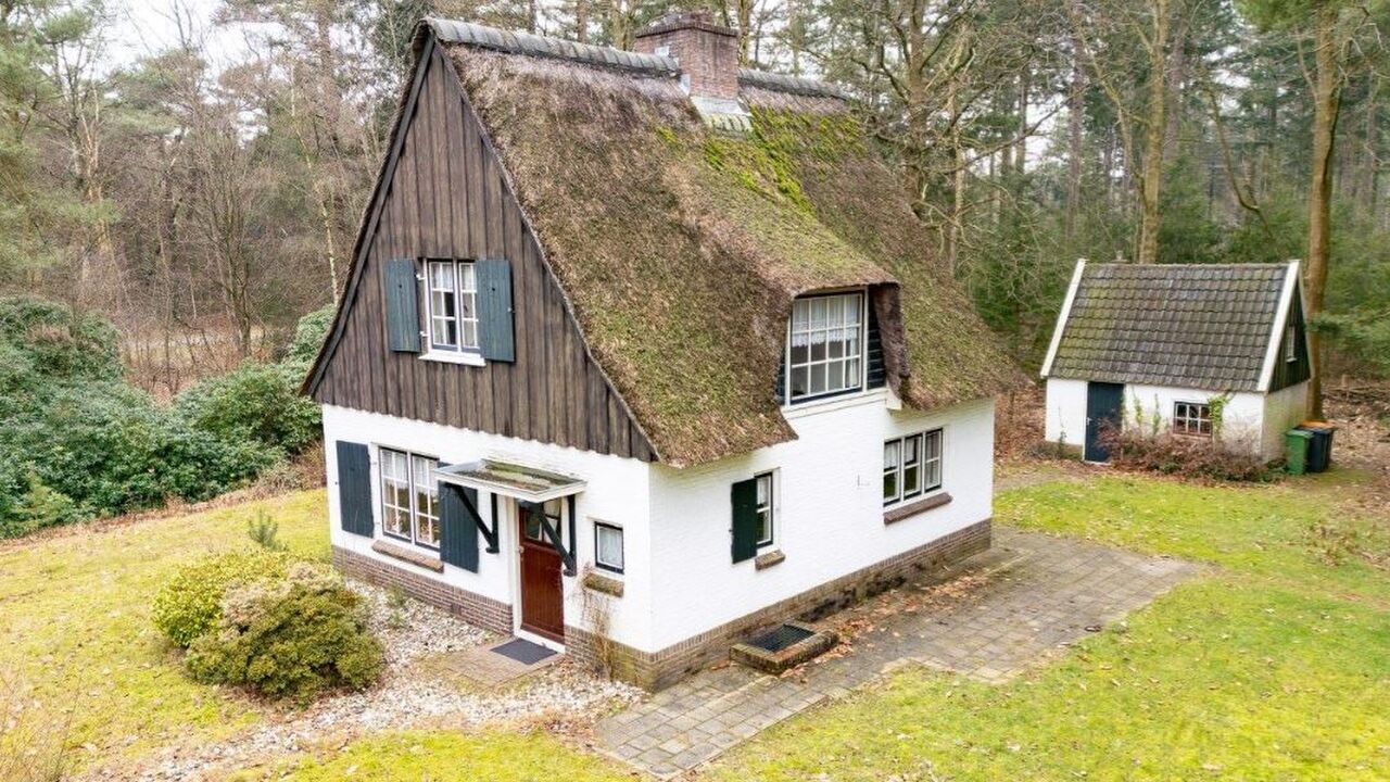 Illustratie voor: Dé perfecte opknapper op Funda: huis in het bos te koop voor slechts € 160.000,-