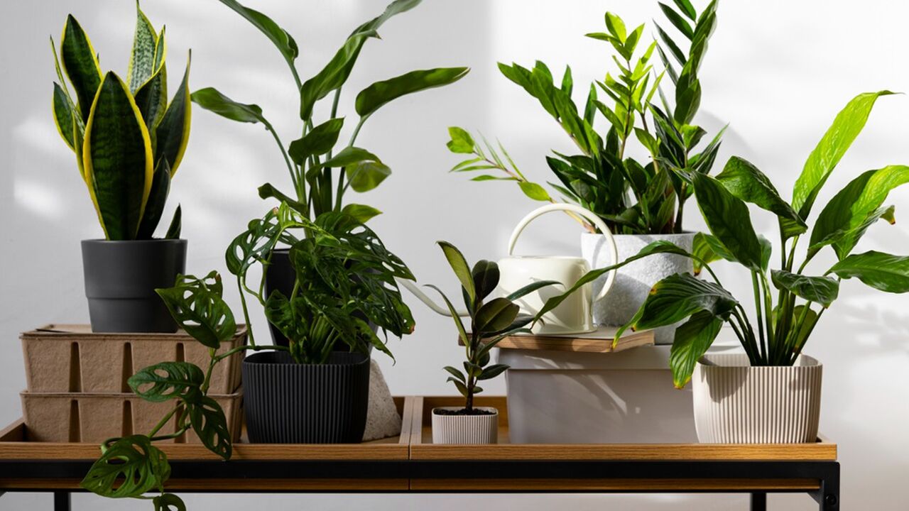 voordelen nadelen kunstplanten