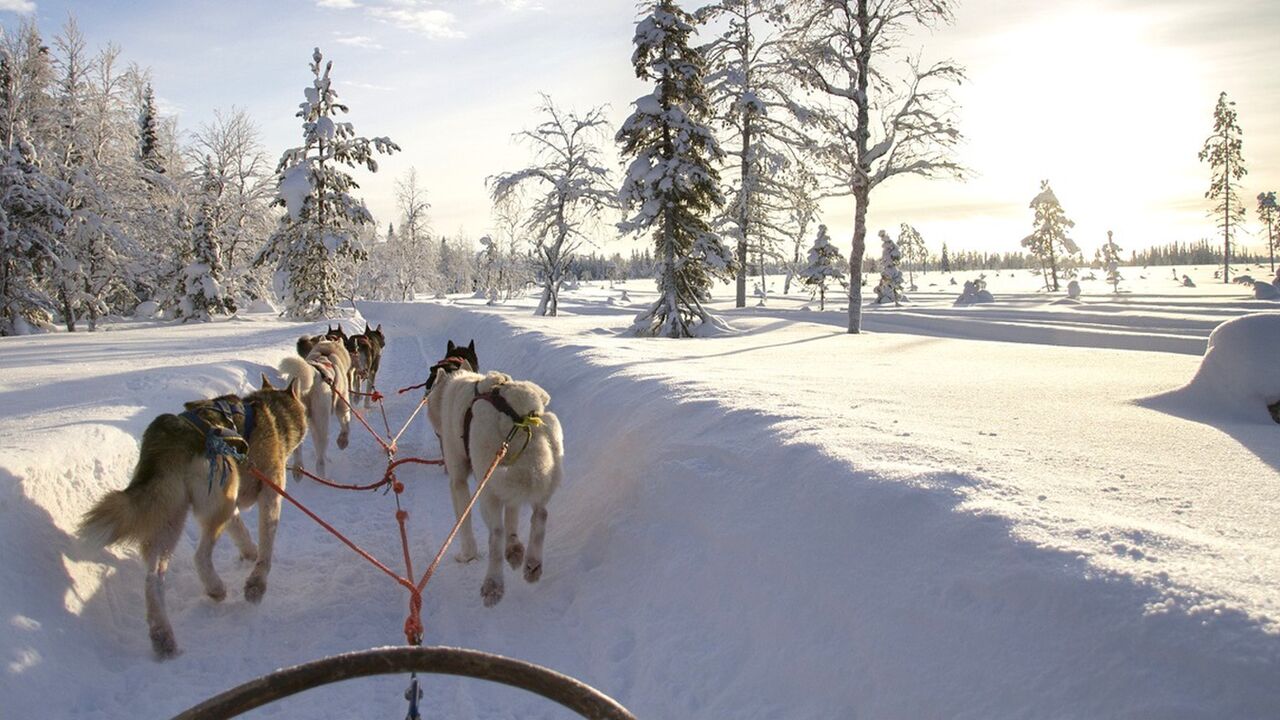 Zweeds Lapland avontuur