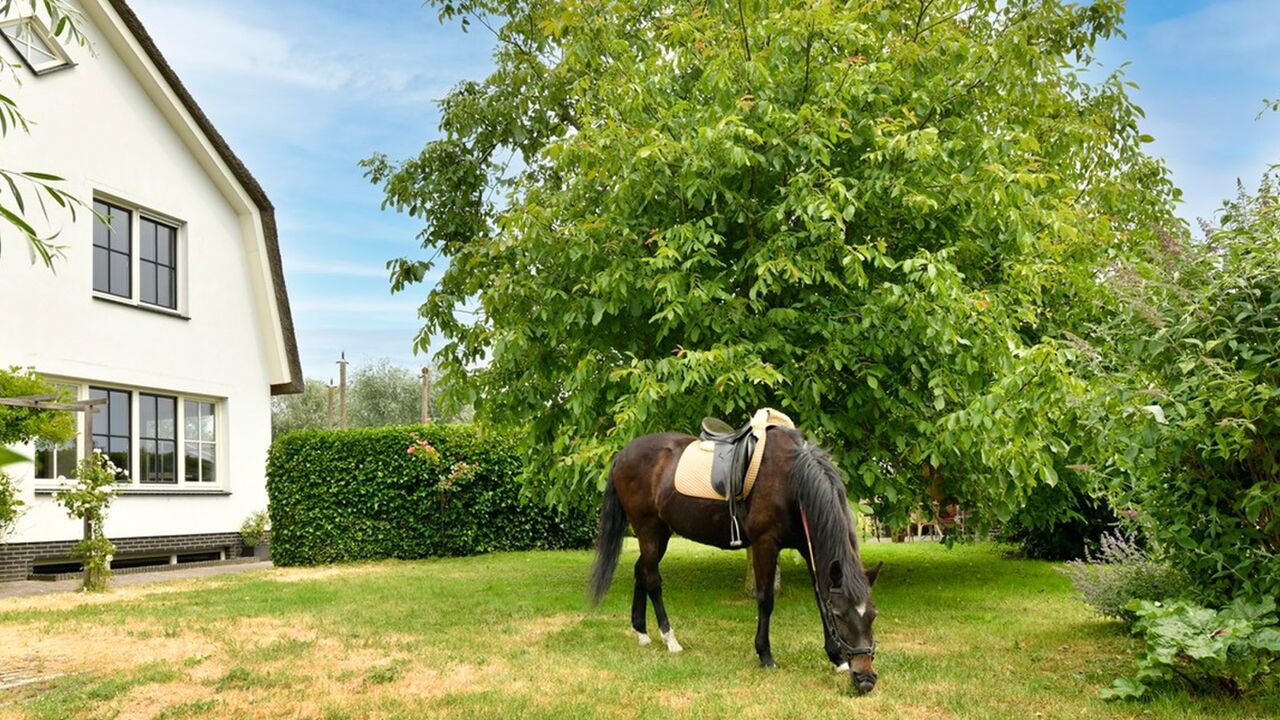 fotograaf woning