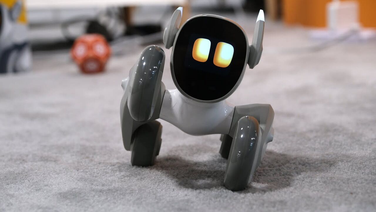 De Loona Petbot, het huisdier van de toekomst