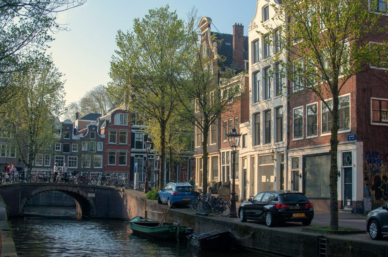 Auto's die geparkeerd staan